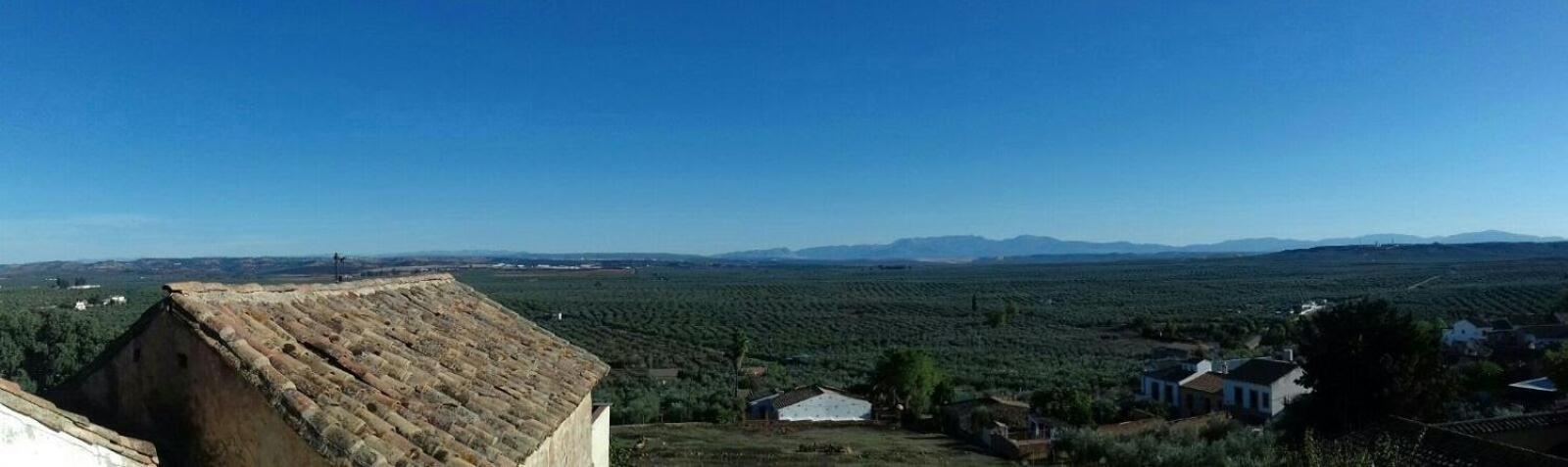 Casa Rural Verde Oliva Banos De La Encina Bagian luar foto